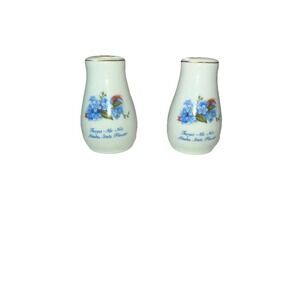 Forget-Me-Not Alaska State Flower Porcelain Set of Salt and Pepper Shakers